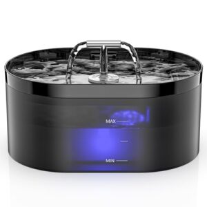 Recensione fontanella per gatti: la soluzione ideale per idratare il tuo animale